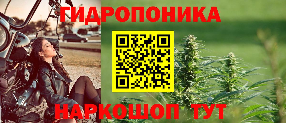 Бошки Шишки White Widow  Марихуана Amnesia  Вход с VPN  Биробиджан  Конопля LSD WEED 